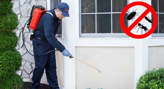 Çelebi Böcek ve Haşere İlaçlama böcek ilaçlama ve haşere kontrolü — ilaclama-tr.com